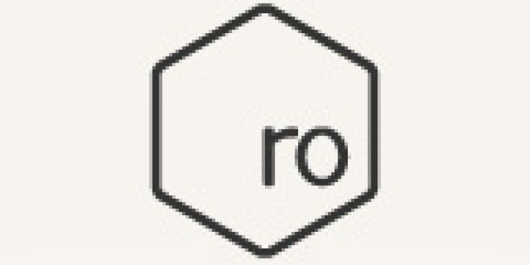 ro bags’logo